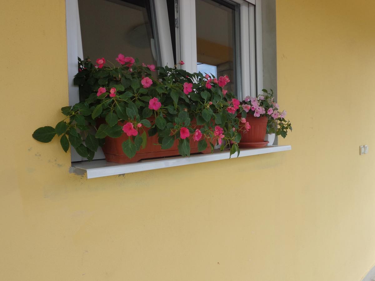 Guest House Ivana Tivat Buitenkant foto